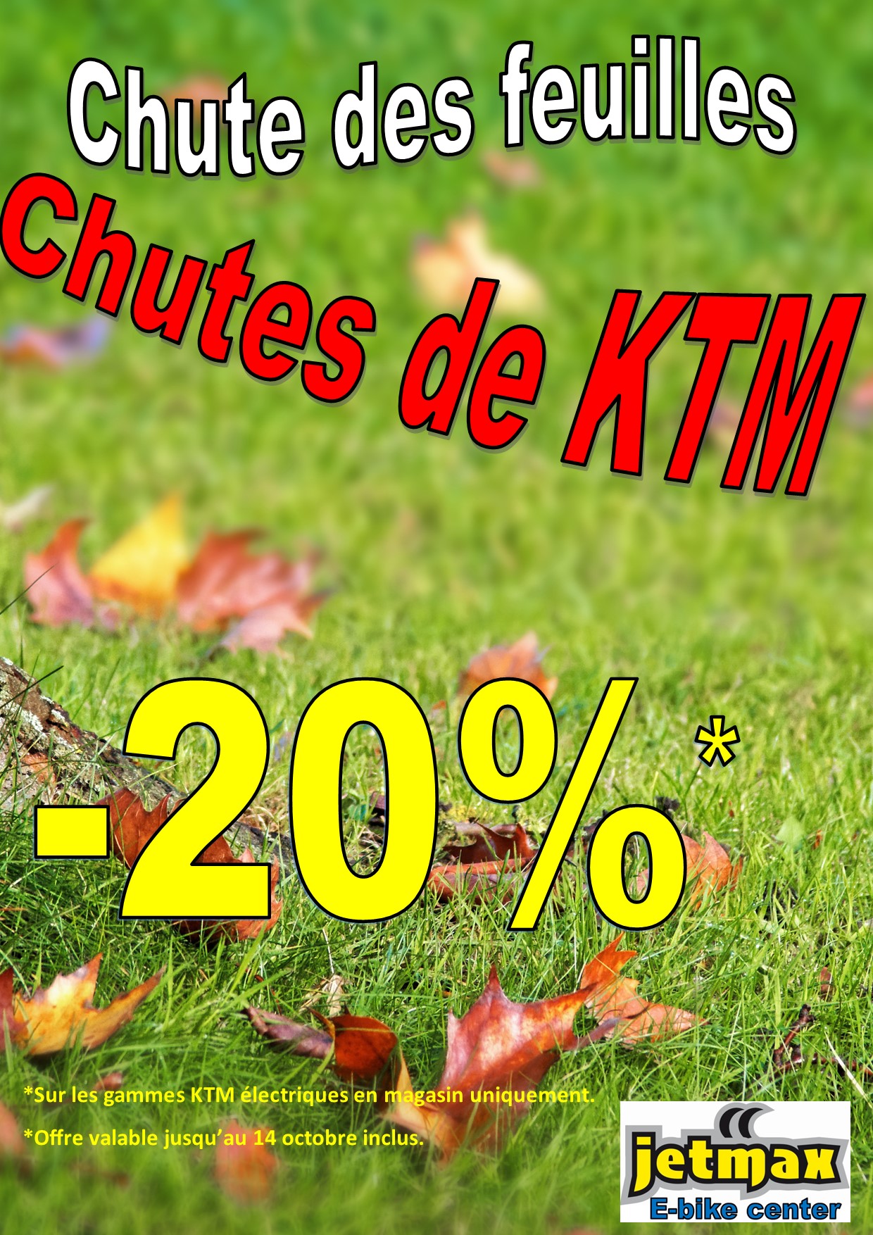 chute des feuilles